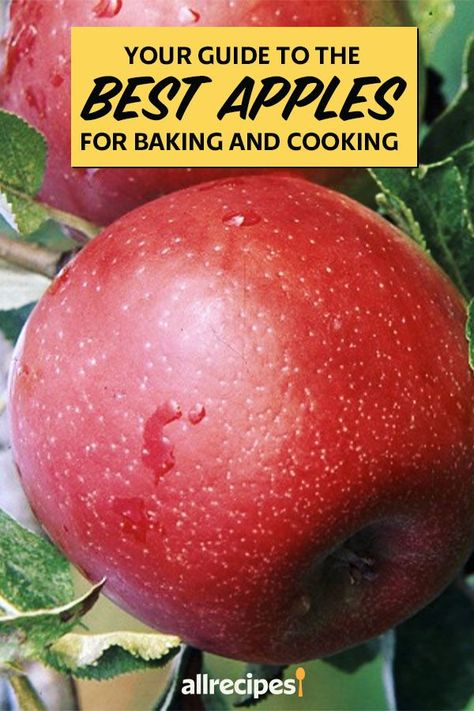 Royal Gala Apples Recipes, Northern Spy Apple Recipes, Baked Gala Apples, Recipes For Gala Apples, Mutsu Apple Recipes, Courtland Apple Recipes, Wolf River Apple Recipes, Macoun Apple Recipes, Gravenstein Apple Recipes