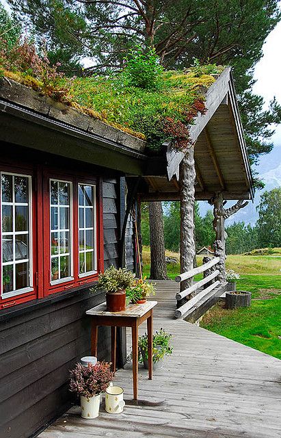 Norwegian idyll,   A beautiful mountain hut near Sogndal, Norway Norwegian Home, Mountain Huts, Living Roofs, Cabin Exterior, Cottage Cabin, Cabin Living, Cabins And Cottages, Cabin Life, The Porch