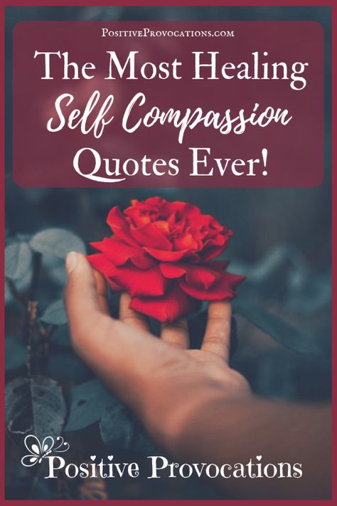 The Most Healing Self Compassion Quotes Ever! (1) Quotes About Self Compassion, Focusing On Self, Self Compassion Quotes, Mindful Self Compassion, Personal Healing, Healing Self, Compassion Quotes, Blog Quotes, Self Appreciation