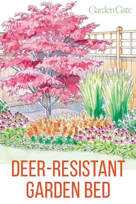 Combat deer from eating your garden by planting flowers, trees & grasses they don't like! Check out our planting plan that works great along a deer fence #Deer #GardenDesign #DeerGardenFence #GardenPlan #GardenTip #GardenGateMagazine Deer Resistant Landscaping, Deer Resistant Flowers, Deer Resistant Garden, Deer Resistant Perennials, Flower Garden Plans, Plant A Garden, Deer Fence, Deer Resistant Plants, Planting Plan