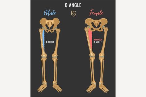 Male Pelvis, Female Pelvis, Pelvis Anatomy, Mobile Screen Wallpaper, Male Skeleton, Female Skeleton, Male Vs Female, Screen Wallpaper Hd, Dark Grey Background