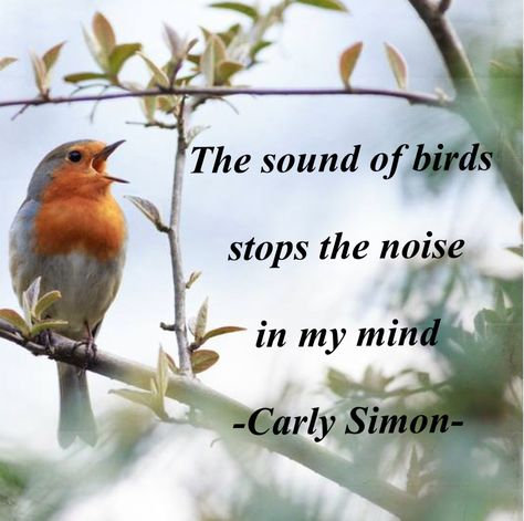 The sound of birds stops the noise in my mind Birds Chirping Quotes, Birds Quotes, Boarders Designs, Budha Art, Boarders Designs For Projects, Bird Quotes, Soothing Quotes, Gujarati Quotes, Life Lesson