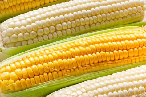 Yellow Corn vs. White Corn: A Corn Farmer from Iowa Explains the Difference Recipes Corn, Authentic Chinese Recipes, Yellow Corn, White Corn, Cooking Advice, Corn Husk, Garden Vegetables, Fruit Dishes, Corn Recipes