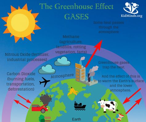 how to explain the greenhouse effect to kids (with PRINTABLES) #earlychildhoodeducation #outdoorfun #globalwarming #printables Greenhouse Effect Poster, Earth Pollution, The Greenhouse Effect, Glass City, How To Explain, Indian Constitution, Global Issues, Greenhouse Effect, Ozone Layer