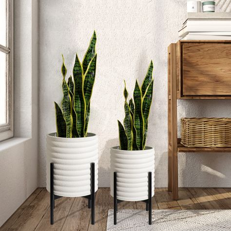 PRICES MAY VARY. Mid Century Planter: Black metal stand paired with a classic white planter for mid-century simplicity. A flower pot with a striped design, coated with frosted particles, is simple and atmospheric, never goes out of style. Suitable for a variety of decoration styles. Indoor/Outdoor Plant Pots: The plant pots are made of durable iron that will last for years, and the lightweight metal sturdy construction makes them easy to move and won't break like ceramic plant pots. The bottom d Mid Century Planters, Bathroom Plants No Sunlight, Best Bathroom Plants, Planters For Indoor Plants, Planter With Stand, Mid Century Modern Planter, Mid Century Planter, Office Garden, Decoration Styles