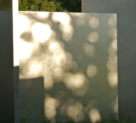 Edward Tufte forum: Dappled light Edward Tufte, Sunlight Photography, Shadow Painting, Rain Lights, Carnegie Museum Of Art, Pinhole Camera, Dappled Light, Shadow Art, Light Architecture