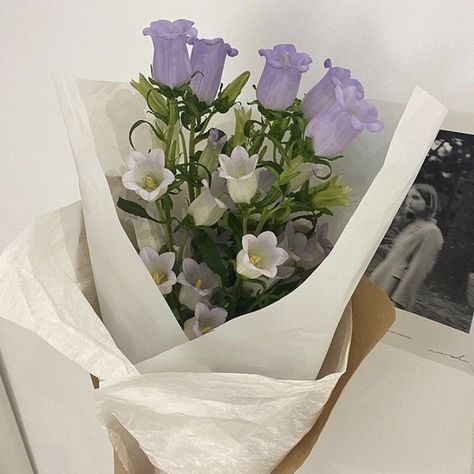 Flowers 🌺 on Twitter: "… " Light Acamedia, Iris Heart, Lavender Aesthetic, A Bouquet Of Flowers, Flower Therapy, Bouquet Of Flowers, Purple And White, Purple Aesthetic, Maleficent