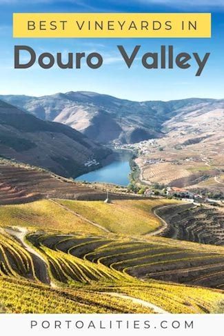 Top Vineyards in Douro Valley in 2023 | Blog Portoalities: Travel blog and Private tours in Porto and Douro Valley - Portoalities: Travel blog and Private tours in Porto and Douro Valley Day Trips From Porto, Douro Valley Portugal, Gourmet Restaurant, Portugal Vacation, Portugal Travel Guide, Wine Tourism, Douro Valley, Visit Portugal, Port Wine