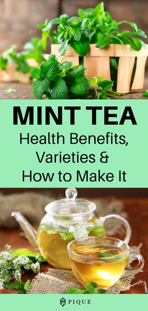 Mint Tea Benefits, Mint Leaves Benefits, Mint Benefits, Mint Tea Recipe, Homemade Tea Recipes, Peppermint Tea Benefits, Fresh Mint Tea, Spearmint Tea, Tea Health