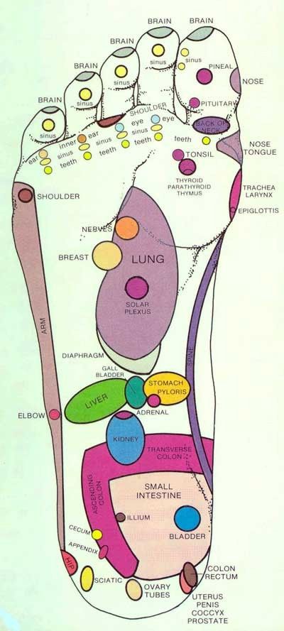 Foot reflexology - this works so well when I feel a cold or sore throat coming on. I need to remember to use it for other problems. Autogenic Training, Reflexology Points, الشموع اليابانية, Reflexology Chart, Foot Reflexology, Acupressure Points, Formda Kal, Foot Massage, Pressure Points