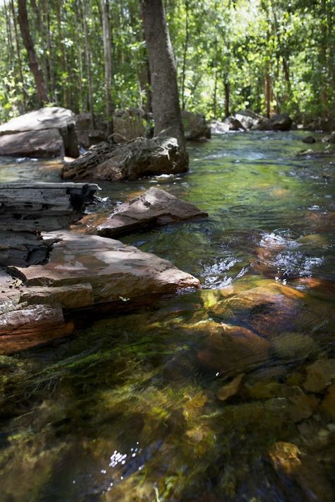 Forest Landscaping, Litchfield National Park, Amazing Backgrounds, Mountain Streams, River Flow, Northern Territory Australia, Nature Light, Mountain Lakes, Forest Path