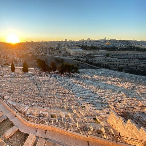 Mount Of Olives, I Will Protect You, Cemetery, On Earth, Natural Landmarks, Travel, On Instagram, Quick Saves, Instagram