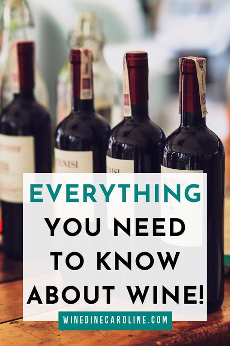 This Everything you need to know about Wine Course was strategically designed for beginners to learn about wine with ease. Created by Caroline Conner, Wine Dine Caroline teaches how to taste wine, types of wine, and wine pairings that are simple and easy for beginners. #winedinecaroline.com #basicwineguide #winecheatsheet #winetastingcourse #winetastingathome #wineeducator #learnaboutwine #diywinetasting #wine101 Wine Guide For Beginners, Wine Cheat Sheet, Wine Types, Wine Inspiration, Wine Chart, Wine Course, Wine Facts, Wine Tips, Wine Teacher