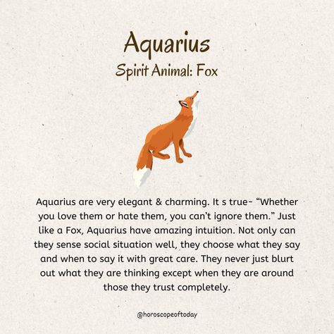 Aquarius Animal, Spirit Animal Fox, February Aesthetic, Witch Cabin, Spiritual Animals, Greek Mythology Stories, Spirit Animal Meaning, Star Sign Art, Aquarius Aesthetic