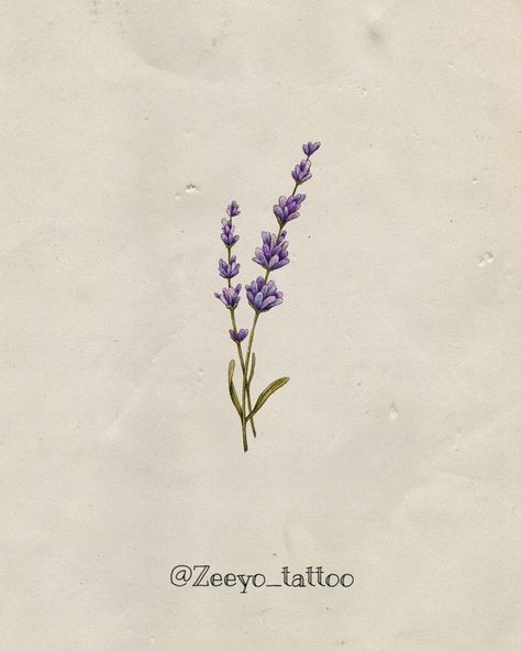 Butterfly On Lavender Tattoo, Lavender Tattoo Black Outline, Lavender Tattoo Forearm, Lavender Plant Drawing, Lavender Sprigs Tattoo, Vervain Tattoo, Lavender Line Art, Lavender Tattoos, Flower Tattoos Ideas