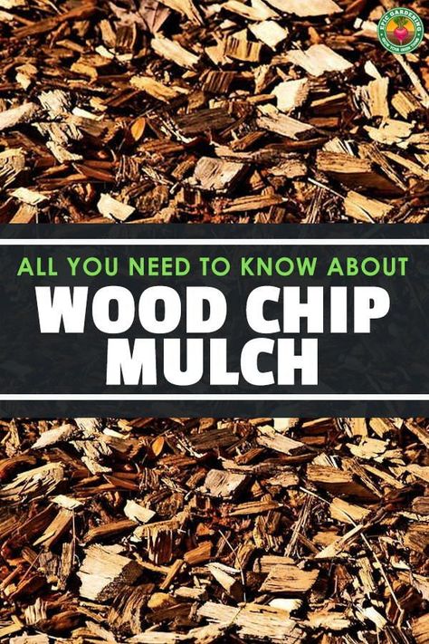 Wood Chip Landscaping Ideas, Wood Chippings Garden Ideas, Wood Chip Garden Path, Woodchips Garden Landscaping, Bark Chips Landscaping, Landscaping With Wood Chips, Cedar Chips Landscaping, Woodchips Garden Ideas, Wood Chip Landscaping