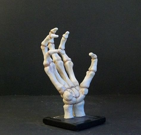 skeleton hand Skeleton Hand Sculpture, Skeleton Hand Photography, Air Dry Clay Skeleton, Clay Skeleton Hand, Skeletal Hand Reference, Clay Bones Sculpture, Skeleton Polymer Clay, Clay Skeleton Sculpture, Sketelon Hand