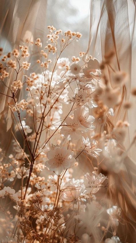 Pretty Wallpapers Backgrounds Aesthetic, Iphone Wallpaper Backgrounds, Find Aesthetic, Wallpaper Backgrounds Aesthetic, Grass Wallpaper, Phone Wallpaper Boho, Personalized Bible, Backgrounds Aesthetic, Pretty Backgrounds