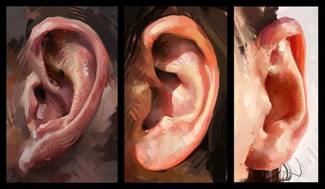 I'm all ears by AaronGriffinArt on DeviantArt Aaron Griffin, Colour Study, Digital Painting Tutorials, Color Studies, Traditional Paintings, Anatomy Art, Digital Art Tutorial, Funky Art, Art Reference Photos