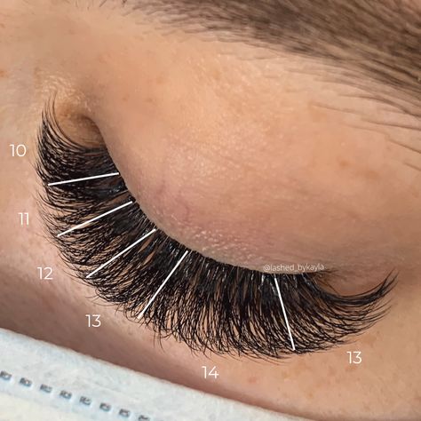 Lashes Volume Eyelash Extensions, Hybrid Lash Extensions Map Doll Eye, Russian Lash Map, Volume Mapping Lashes, Volume Set Mapping, Short Lash Map, Hybrid Lash Mapping, Volume Lash Extensions Mapping, Volume Lash Mapping