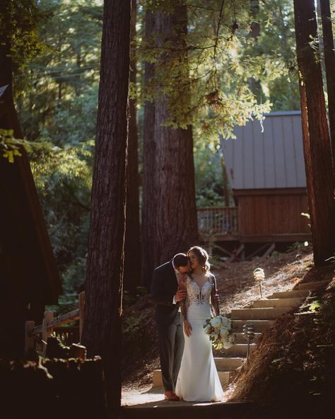 Current things that spark joy: great couples and venues I’ve never shot at before This was my first time shooting a wedding at Waterfall Lodge in Santa Cruz. A collection of A-frames so I felt right at home. Congratulations to @valwkam and Adam, I was in awe of the whole day and watching you two love being in each others arms. Venue: @waterfallsantacruz Planning: @eventbydawn Floral: @the.blonde.rose DJ: @santacruzdjcompany MUAH: @shannonle Catering: @fivestarcatering831 Desserts: @t... A Frames, Second Love, Spark Joy, Social Media Post, Things That, First Time, Dj, Felt, Blonde