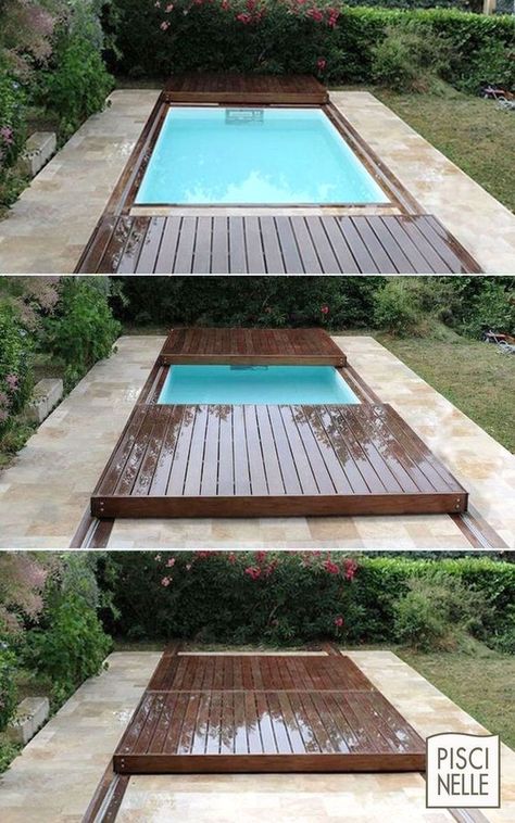 Small Swimming Pools, Small Pool Design, Dogs Small, Small Pools, Swimming Pools Backyard, Small Pool, Swimming Pool Designs, Design Exterior, Small Backyard Pools