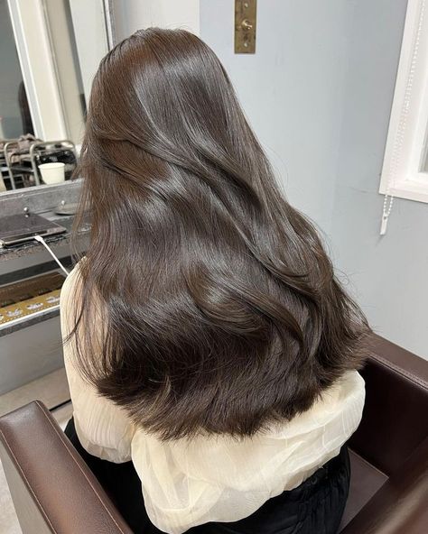 Do you wish you had perfect hair? check this link Healthy Glossy Hair, Thick Glossy Hair, Glossy Long Hair, Silky Thick Hair, Good Hair Aesthetic, Long Glossy Hair, Korean Healthy Hair, Korean Dark Brown Hair, Khaki Brown Hair