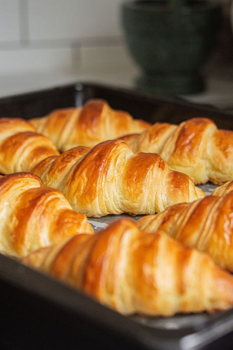 Homemade croissants require a bit of patience and precision but this detailed recipe will walk you through each step so you can make them successfully at home. They’re flaky, buttery and oh-so-delicious. Croissant From Puff Pastry, Homemade Crossant Recipes, Homemade Crasaunts, Flaky Croissant Recipe, How To Make Crossiants, Home Made Croissants, Homemade Croissants Recipe, Best Croissant Recipe, Cressant Recipes