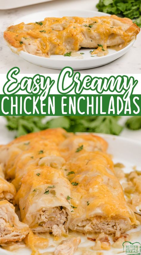 Easy Chicken Enchiladas made completely from scratch with rotisserie chicken for a quick and simple dinner recipe. Our favorite chicken enchilada recipe that is packed with protein and low in fat and carbs too! Rotisserie Chicken Oven, Leftover Chicken Recipes Easy, Rotisserie Chicken Enchiladas, Easy Chicken Enchiladas, Recipes Using Rotisserie Chicken, New Chicken Recipes, Easy Enchiladas, Mexican Chicken Recipes, Chicken Enchiladas Easy