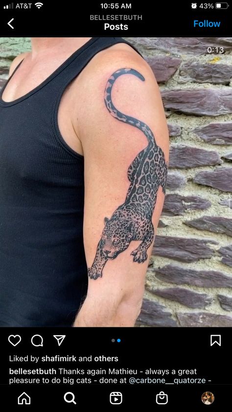 Tattoo Ideas Jaguar, Black Panther Shoulder Tattoo, Jaguar Tattoo Forearm, Snow Leopard Tattoo Traditional, Leapord Tattoo Men, Big Cat Tattoo Men, Leopard Stomach Tattoo, Jaguar Tattoo Small, Jaguar Shoulder Tattoo