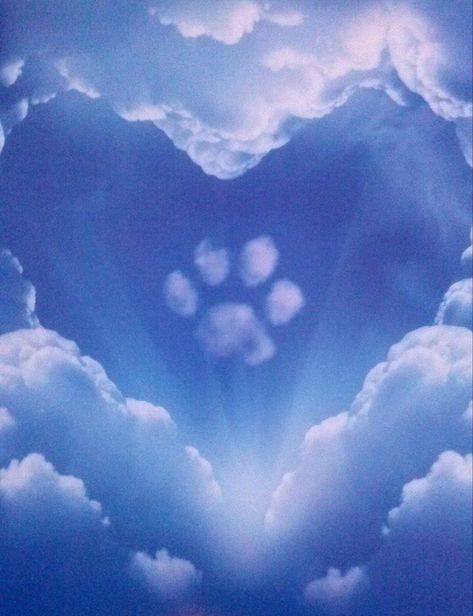 Pets In Heaven, Heavens Pets, Cats In Heaven, Cat In Heaven, Dog In Heaven, Dogs In Heaven, Tatoo Dog, Miss My Dog, Dog Poems