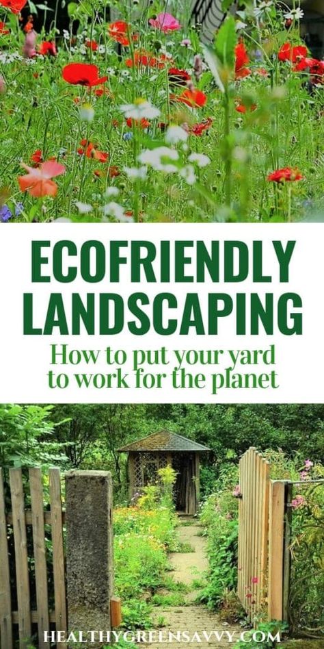 Eco Friendly Landscape Design, Nature Friendly Garden, Low Maintenance Acreage Landscaping, Nature Friendly Garden Ideas, Natural Yards Ideas, Herbal Garden Design Landscapes, How To Naturalize Your Yard, Sustainable Yard Ideas, Sustainable Front Yard