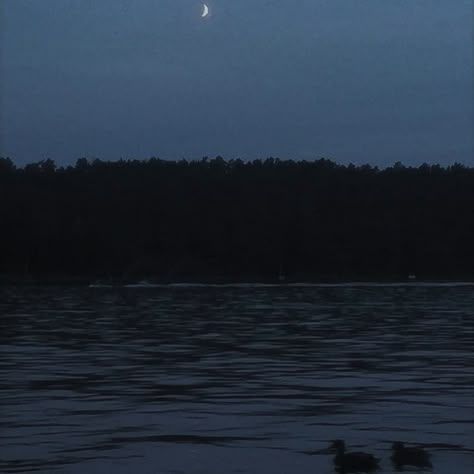 dark aesthetic ducks forest lake night night walk Night Walking Aesthetic, Ruki Mukami, Mermaid Stories, Night Forest, The Bus, Night Aesthetic, City Aesthetic, Dark Forest, What’s Going On