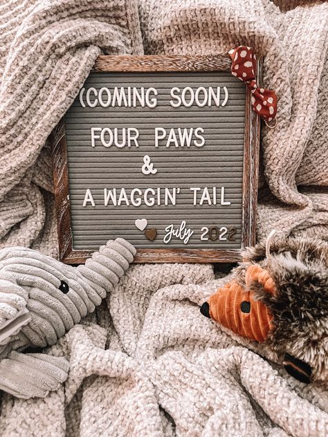 Puppy Announcement Ideas Funny, Puppy Announcement Photoshoot, Puppy Announcement Ideas, Dog Adoption Announcement, Puppy Reveal, New Puppy Announcement, Dog Announcement, Pet Announcement, Dog Boutique Ideas