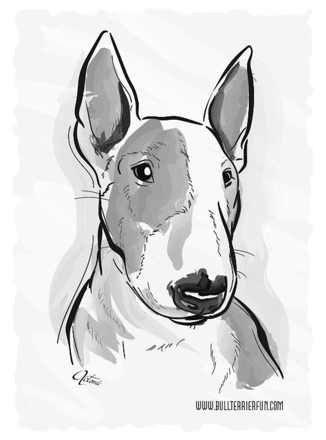 Bull Terrier Tattoo, Bull Terrier Art, Healthy Dog Food, Water Color Art, Mini Bull Terriers, Bull Tattoos, Canine Art, English Bull Terriers, A Bull