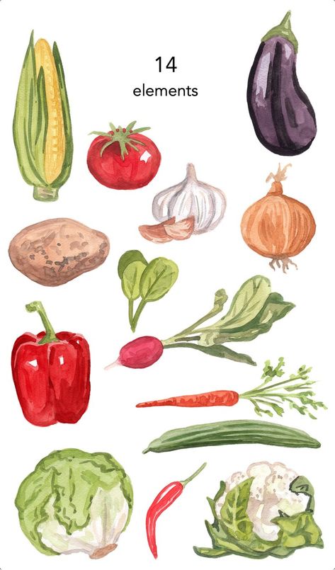 Buy WATERCOLOR CLIPART Vegetables Clipart Food Kitchen Veggie Online in India - Etsy Fruits Watercolor, Vegetable Drawing, Vegetable Illustration, Stew Chicken Recipe, Food Clipart, Watercolor Food, Green Things, Watercolour Inspiration, Food Illustration