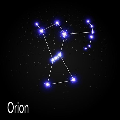 Alyssa Carson, Orion Tattoo, Orion Star, Red Wine Chocolate Cake, Dna Art, Sky Vector, Wallpaper Powerpoint, Orion's Belt, Orion Constellation