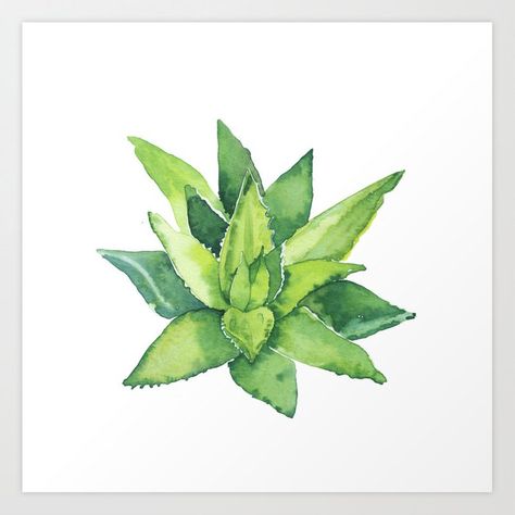 Aloe Illustration, Aloe Vera Tattoo, Commercial Photography Product, Brand Guidelines Design, Plant Illustrations, Plant Sketches, Dragonfly Painting, Succulent Art, Tatuaje A Color