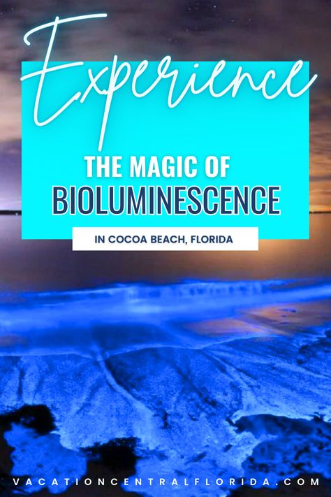 Cocoa Beach, Florida is home to a unique and beautiful experience - Bioluminescence kayaking! Learn about the fascinating aquatic creatures that cause the magical light display and get up close and personal with the bioluminescence while you paddle through the calm waters of this beautiful stretch of coastline. If you're looking for a unique and magical experience on your next visit to Florida, consider bioluminescence kayaking at Cocoa Beach. Cocoa Beach Bioluminescence, Bioluminescence Kayaking Florida, Cocoa Beach Florida Night, Cocoa Beach Florida Bioluminescence, Bioluminescence Beach Florida, Bioluminescence Florida, Bioluminescence Kayaking, Bioluminescent Kayaking, Bioluminescence Beach