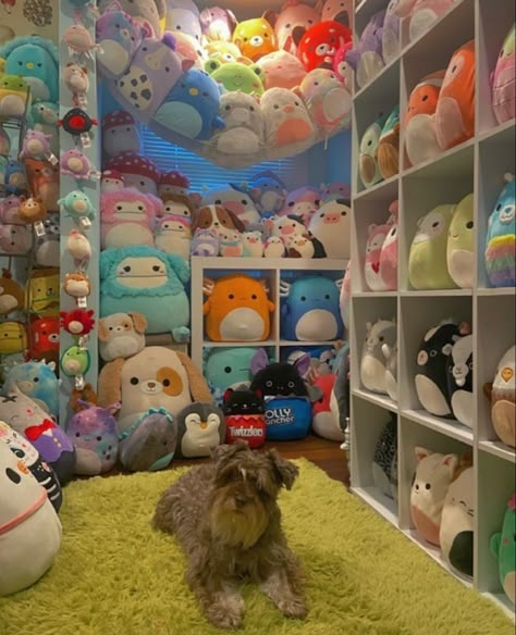 Where To Store Squishmallows, Squish Mellow Storage Ideas, Storage For Squishmallows, Squishmallow Shelf Display, Ways To Store Squishmallows, How To Store Squishmallows, Squishmellow Organization, Squishmallow Collection Display, Squishmallow Organization Ideas