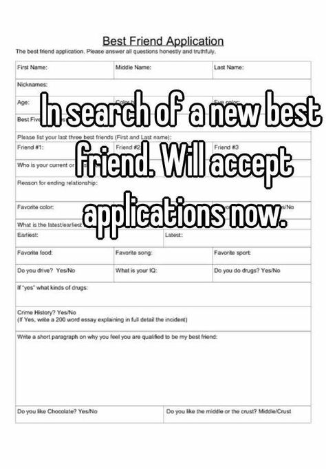 "In search of a new best friend. Will accept applications now." Friend Application Quotes, New Friends Meme, Best Friend Application, Boyfriend Application, Funny Certificates, Friend Application, Work Incentives, 1000 Calorie Workout, Best Friend Book