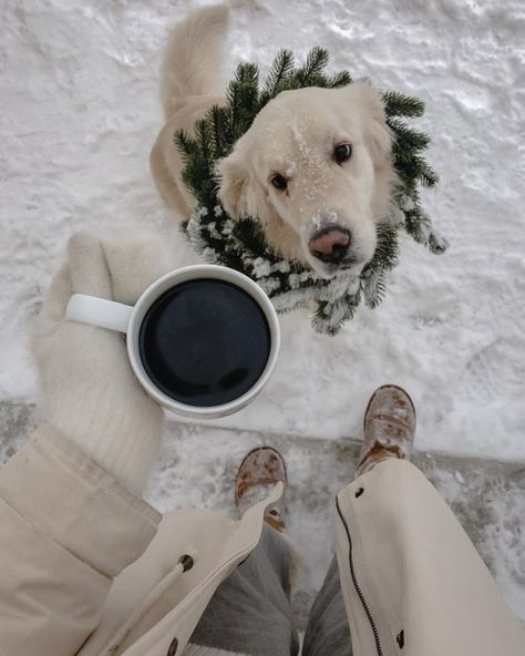 #идеидляфото #собака #dogs #эстетика #aesthetic #coffee #кофе #christmas #xmas #xmasideas Winter Inspo, 사진 촬영 포즈, Cosy Christmas, Christmas Feeling, Winter Love, Winter Wonder, Vsco Filter, Best Seasons, Christmas Mood