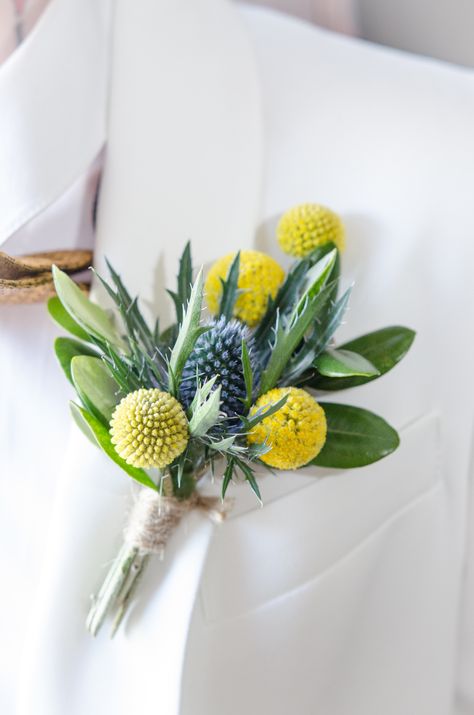 Thistle, Olive and Craspedia blue and yellow Buttonhole. Created by The Floral Design Boutique, wedding specialist Florist, Scotland Wildflower Buttonhole, Wedding Bouquet Olive, Craspedia Wedding, Provonias Wedding Dress, Terrain Design, Yellow Boutonniere, Thistle Bouquet, Yellow Flower Arrangements, Wedding November