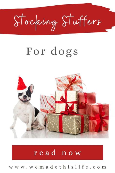 Stocking Stuffers For Dogs Christmas Gift Inspiration, Best Stocking Stuffers, Dog Christmas Gifts, Christmas Stocking Stuffers, Life Blogs, Christmas Dog, Inspirational Gifts, Stocking Stuffers, Christmas Fun