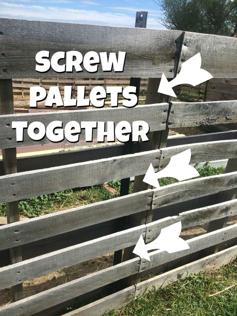 6 reasons that I think a pallet fence makes the best fence for small livestock! Pictures and instructions included on how the pallet fence was built. Livestock Pictures, Wood Pallet Fence, Building A Dog Kennel, Cheap Dog Kennels, Pallet Fence, Wooden Pallet Furniture, Diy Fence, Front Yard Fence, Building A Fence