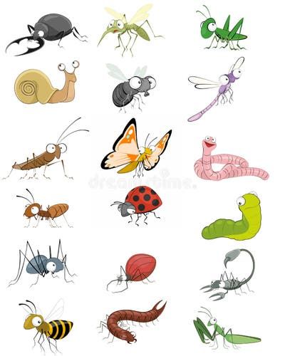 Cartoon insects stock vector. Illustration of funny, leaf - 14506415 Beetle Cartoon, Cartoon Insects, Insects Illustration, Easy Games For Kids, Coloring Set, Vector Character Design, Nice Art, Funny Doodles, Vector Character