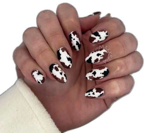 Short Acrylic Nails Almond Cow Print, Short Nail Animal Print, Cute Brown Nails Almond, Nails Design Cow Print, Brown Cow Print Nails Acrylic Short, Acrylic Nails Cow Design, Neutral Cow Print Nails, Brown Cow Print Nail Designs, Brown Cow Print Nails Short