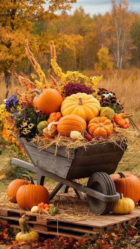 Outdoor Fall Decor Ideas Yard, Fall Yard Decor, Outdoor Fall Decor Ideas, Fall Garden Decor, Zucca Halloween, Cozy Outdoor, Fall Thanksgiving Decor, Fall Decor Ideas, Autumn Scenes