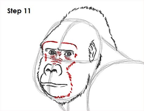 Gorilla Drawing 11 Gorilla Face Drawing, Gorilla Drawing, Gorilla Illustration, Gorilla Face, Animal Tutorial, Sick Drawings, Gorillas Art, Gorilla Tattoo, Easy Draw