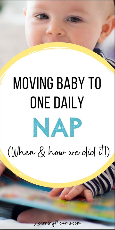 12 Month Nap Schedule, 11 Month Nap Schedule, Nap Schedule For 9 Month, 10 Month Old Nap Schedule, 10 Month Nap Schedule, Transition To One Nap Schedule, One Year Old Nap Schedule, 12 Month Old Nap Schedule, One Nap Schedule